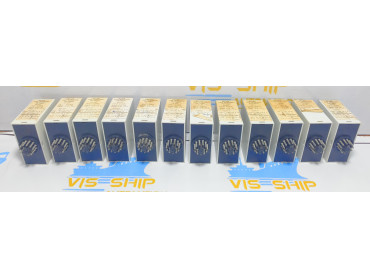 RAPP HYDEMA RP2KV324V PENTAGON Relay 250Hz  RP2KV-24V