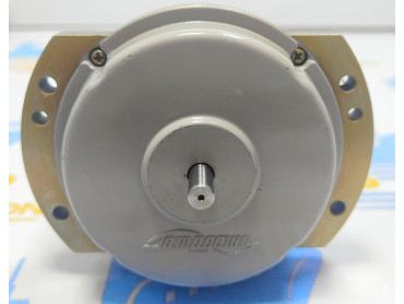 TAMAGAWA TS 21 N 1 E 11  SYNCHRO MOTOR 100-110V NO : A 10042