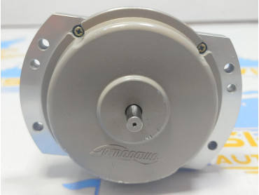 TAMAGAWA TS 21 N 1 E 11  SYNCHRO MOTOR 100-110V NO : A 21886